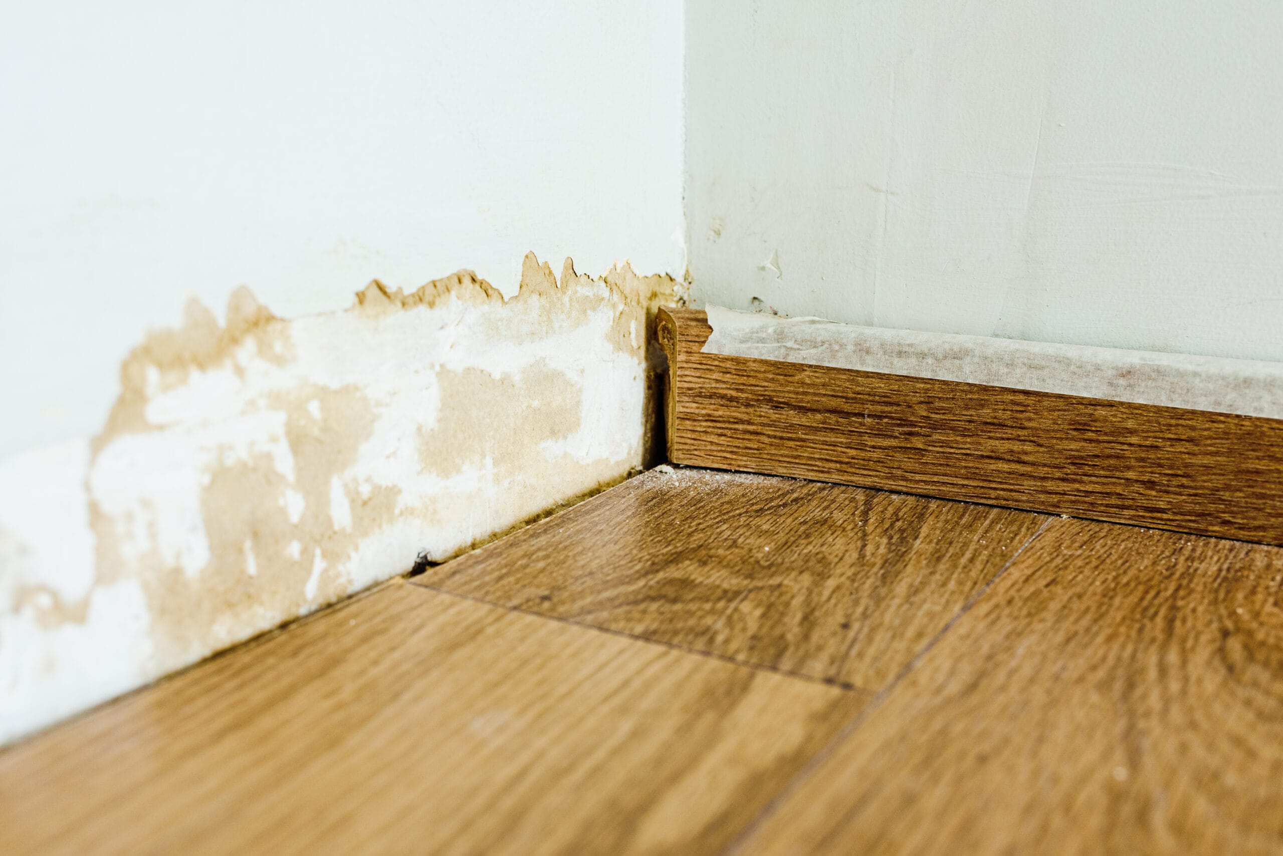 Water staining along a skirting board and warped floorboards